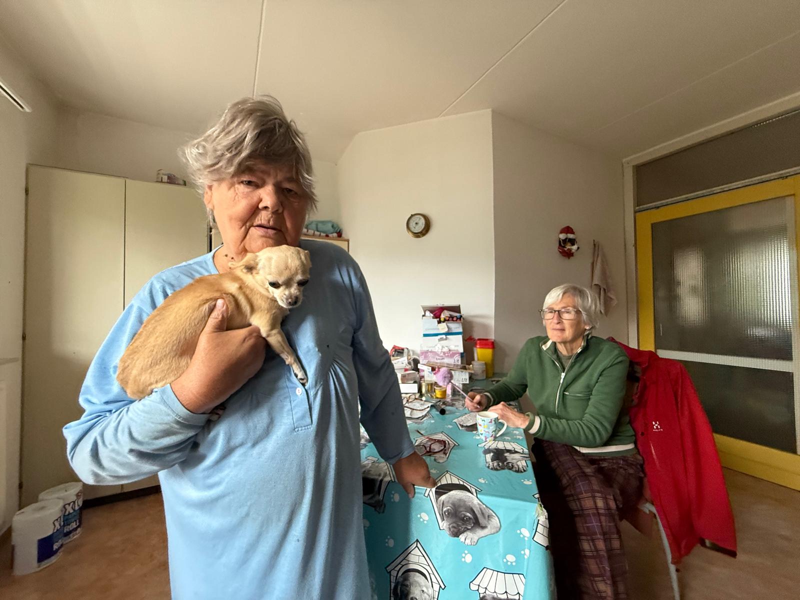 Maatjes van Westerpark